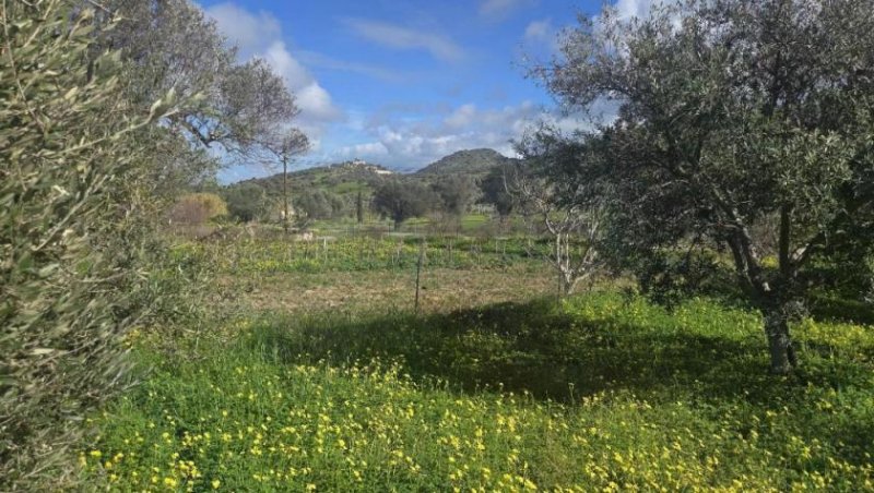 Sivas Ihr Zuhause im kretischen Bergidyll: 1.498 m² Bauland nahe Sivas Kern, Kreta Grundstück kaufen